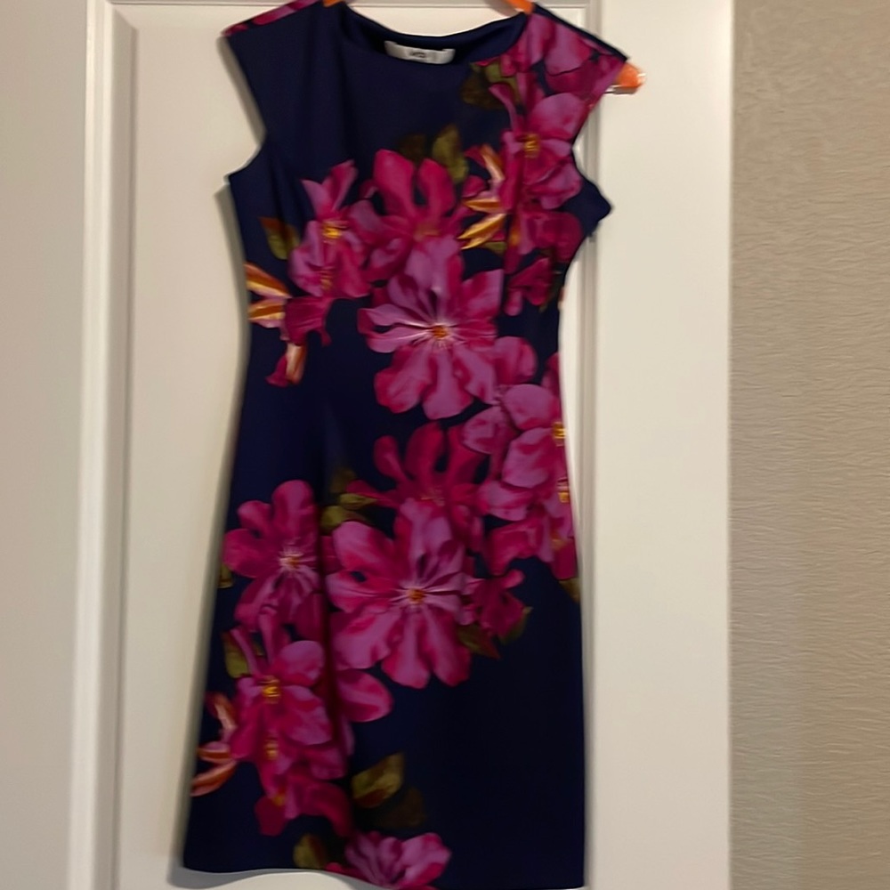 Wisp Dress - Size 0P